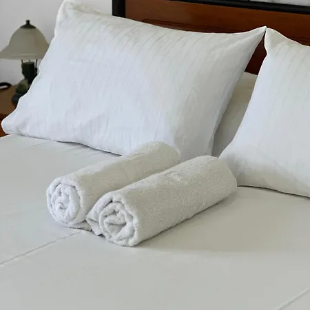 Διαμέρισμα Pagonis *